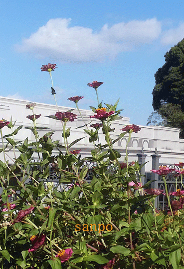 a0103464_20421585.gif