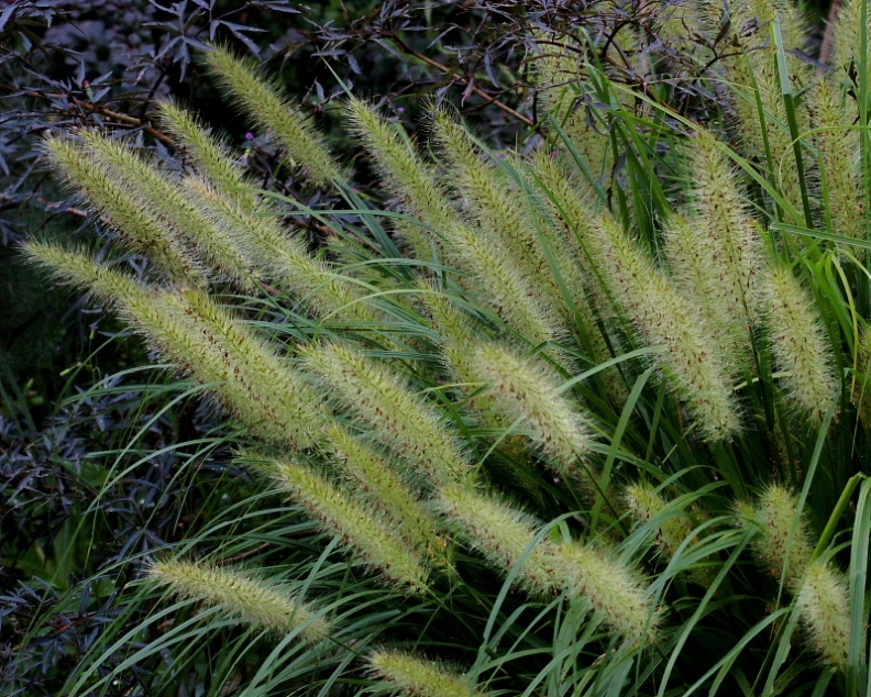 c0305565_17500548.jpg