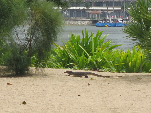 c0212604_21135184.jpg