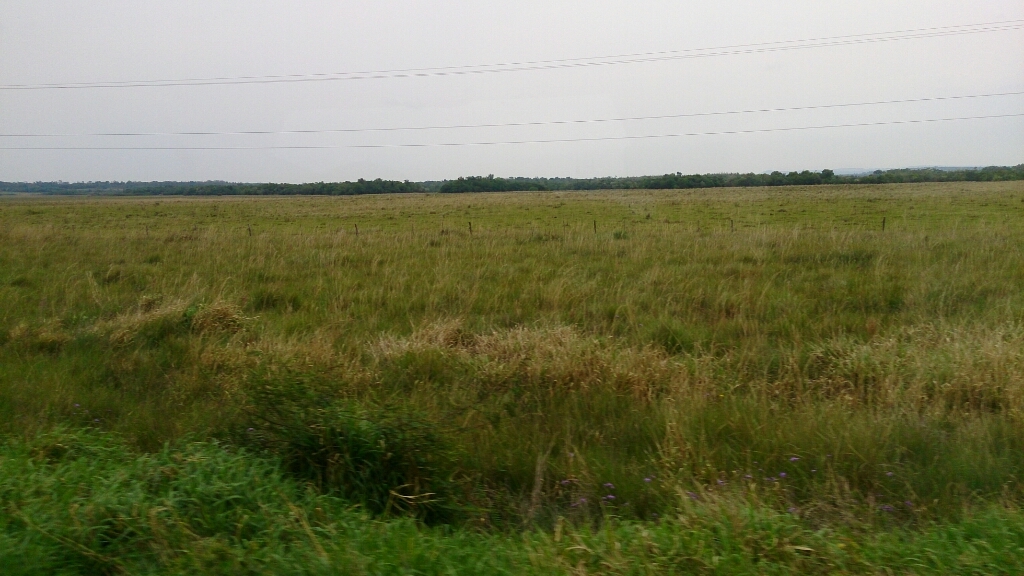 f0225800_23261801.jpg