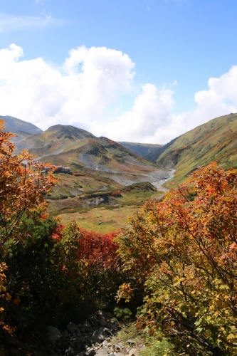 f0296109_10093650.jpg
