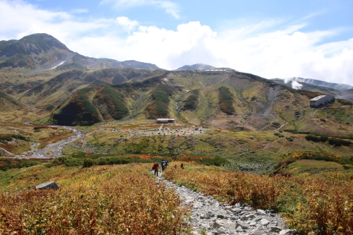 f0296109_10102405.jpg