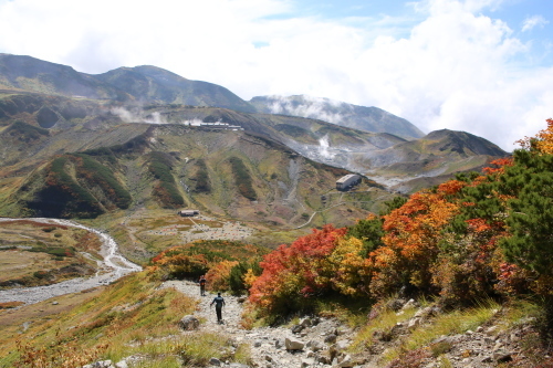 f0296109_10384679.jpg