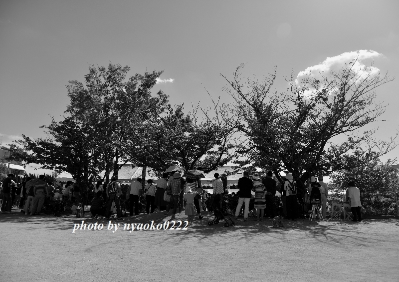 e0365414_22192523.jpg