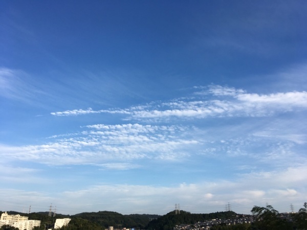 f0369014_16185086.jpg