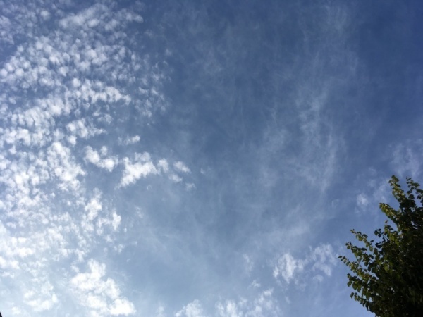 f0369014_16322895.jpg
