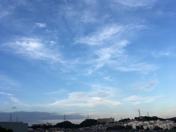f0369014_16325804.jpg