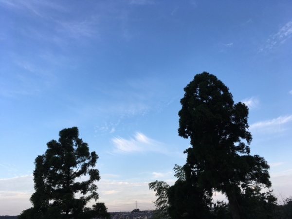 f0369014_16332808.jpg