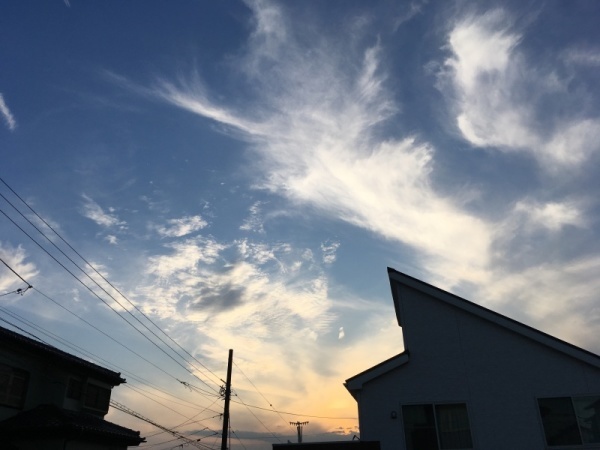 f0369014_16345813.jpg