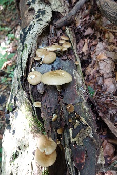 f0360815_15114180.jpg