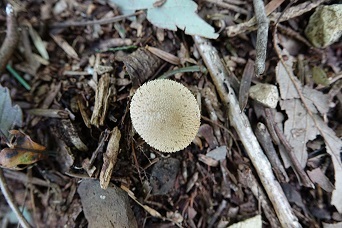 f0360815_15114215.jpg