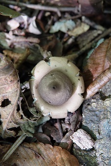 f0360815_15114225.jpg
