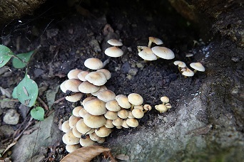 f0360815_15114244.jpg