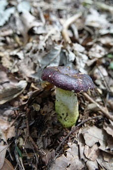 f0360815_15114249.jpg