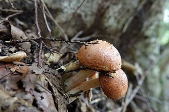f0360815_15114345.jpg