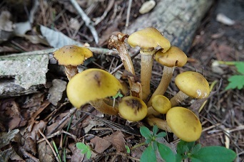 f0360815_15114354.jpg