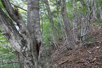 f0360815_15114398.jpg