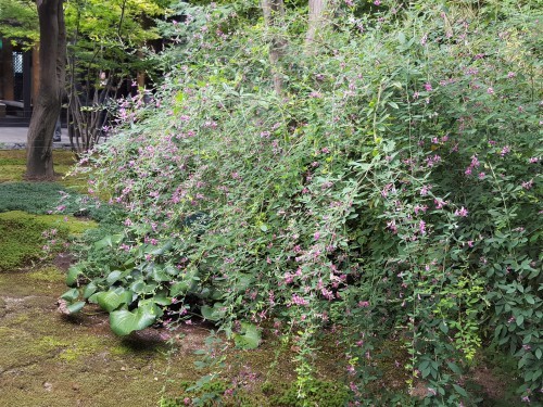 e0016828_11335936.jpg