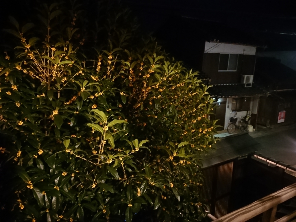 a0116538_23453446.jpg