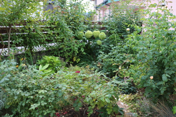 c0359445_20043610.jpg