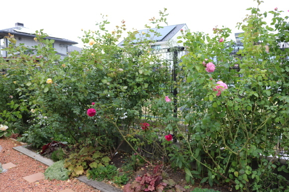 c0359445_20065255.jpg