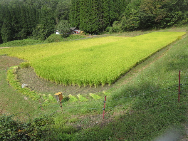 f0234981_22565695.jpg