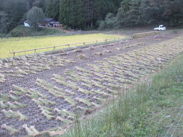 f0234981_23090107.jpg