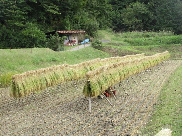 f0234981_23112919.jpg