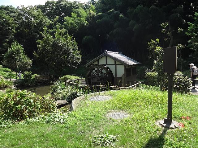 f0017185_93523100.jpg