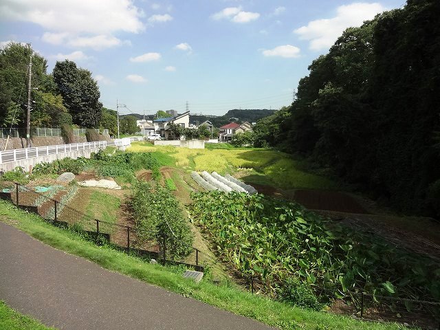 f0017185_9392566.jpg