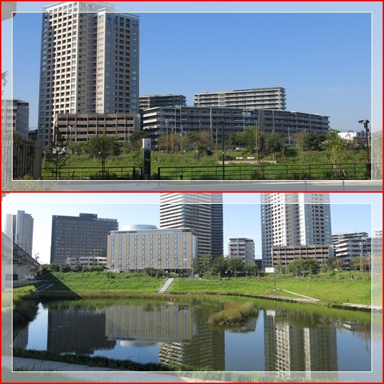 b0364186_19185395.jpg