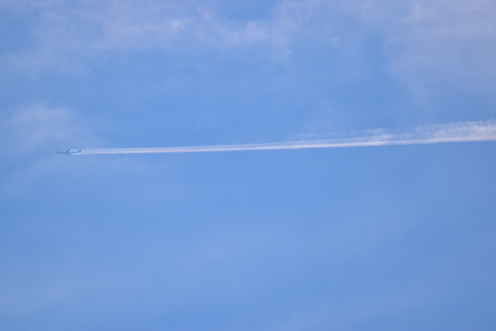 c0049299_18223362.jpg