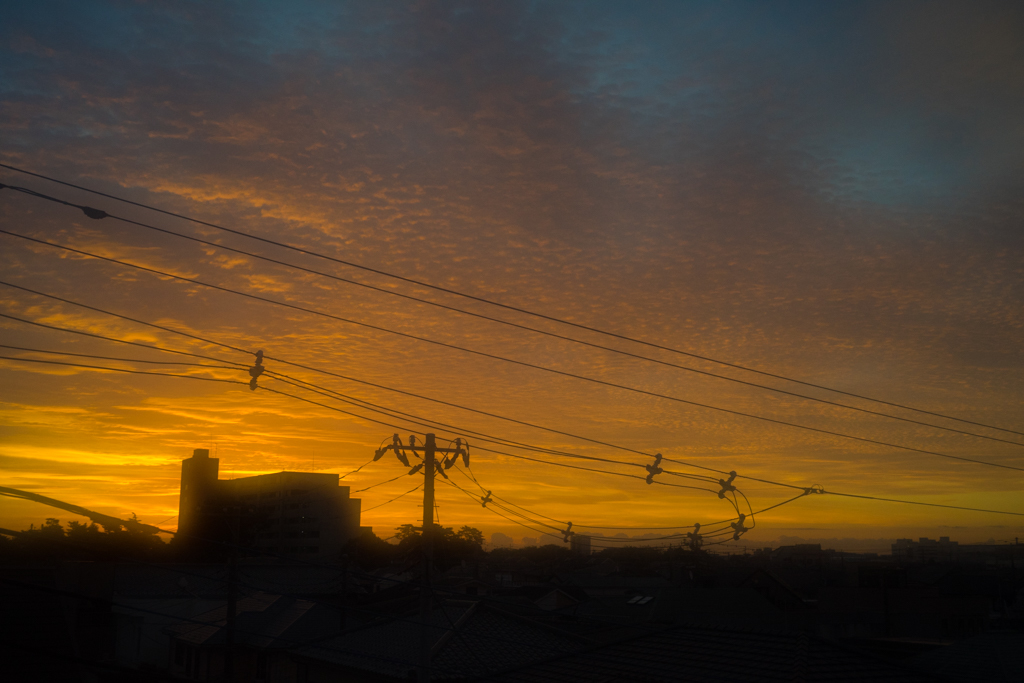 d0161322_08322027.jpg