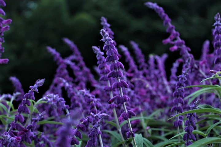f0354923_00054108.jpg