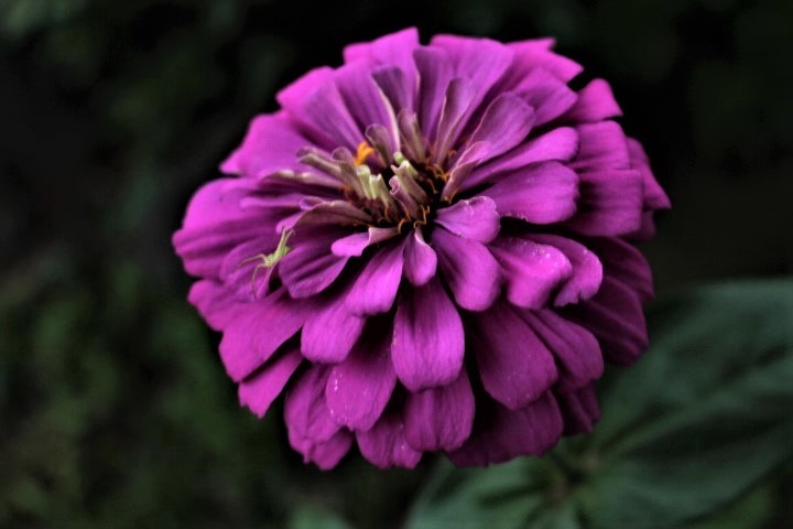 f0354923_00124891.jpg