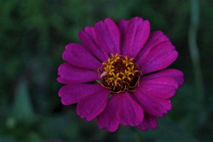 f0354923_00152917.jpg