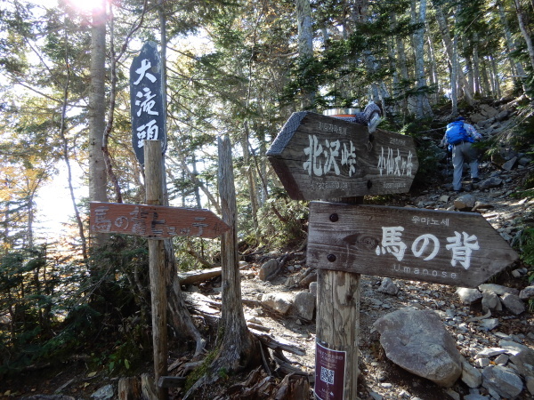 b0090431_18150904.jpg