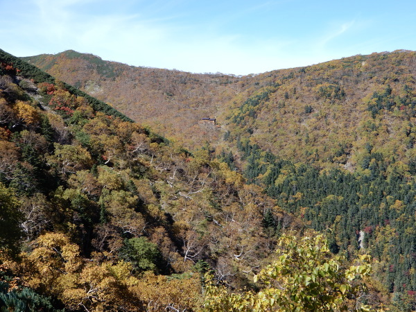 b0090431_18154429.jpg