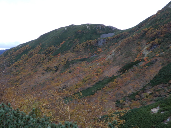 b0090431_18211046.jpg