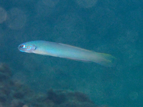 d0164831_16084675.jpg