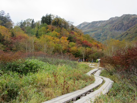 f0002533_18420162.jpg