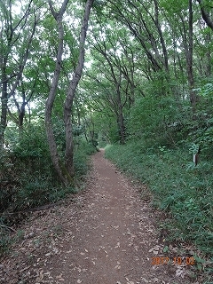 c0147935_20344917.jpg