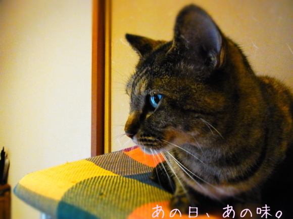 a0305046_09030533.jpg