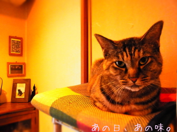 a0305046_09031756.jpg