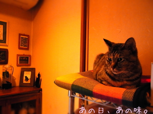 a0305046_09033561.jpg