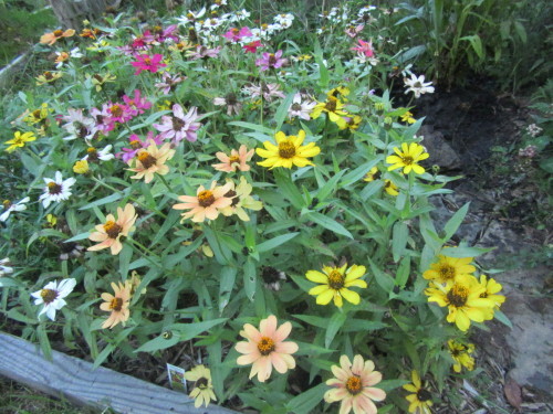 b0247153_09222888.jpg