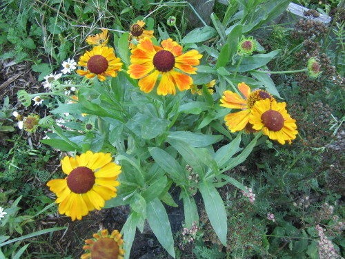 b0247153_09401717.jpg