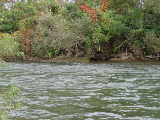b0366555_18051665.jpg