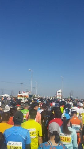 d0174664_06105500.jpg