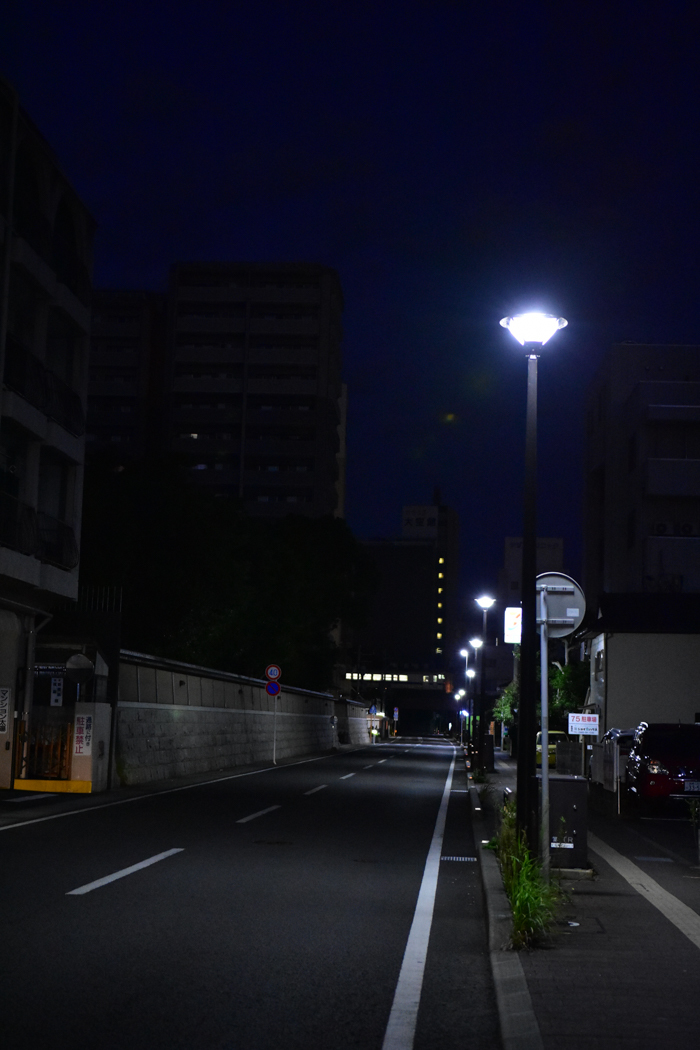c0049299_20561858.jpg